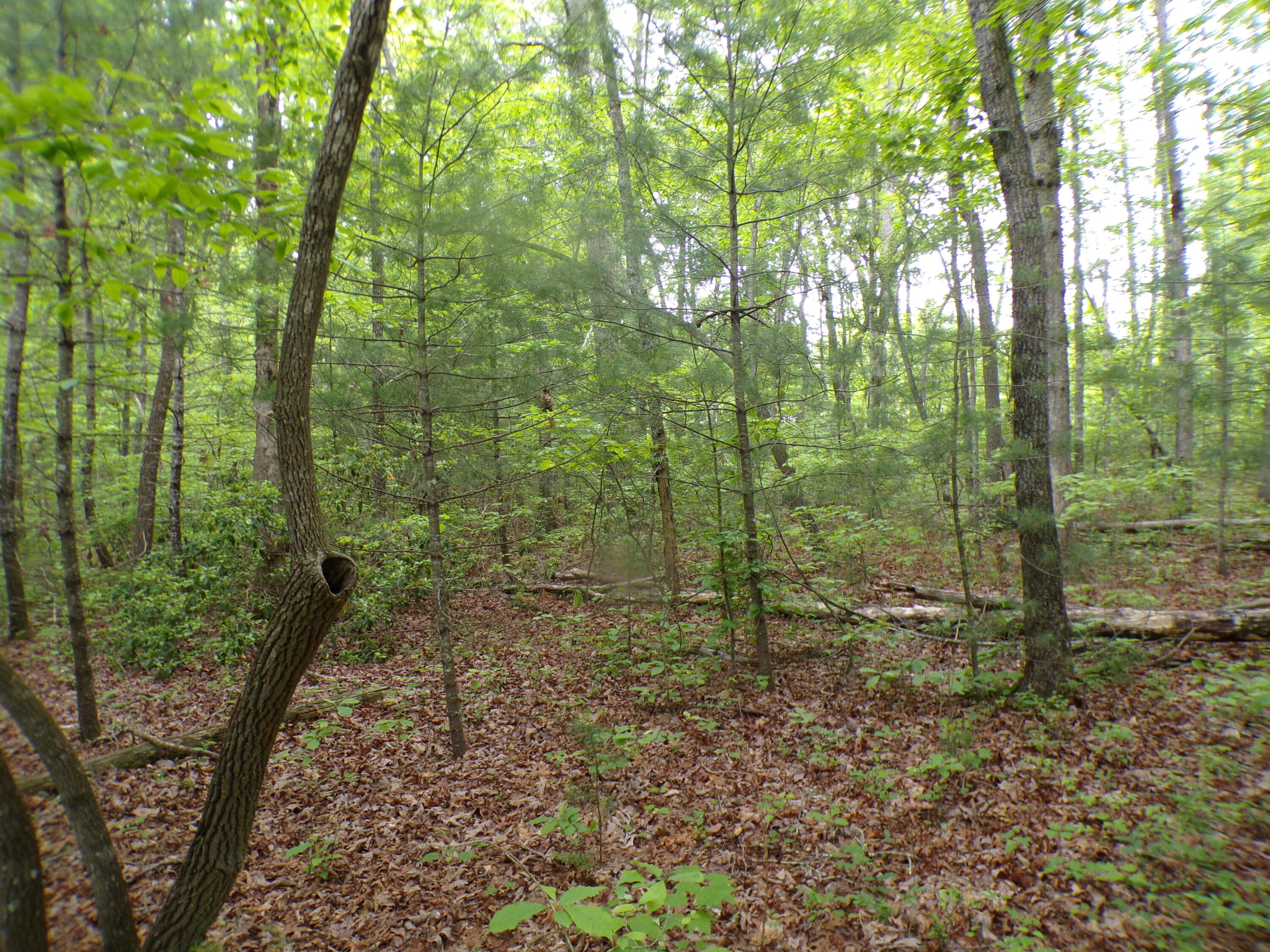 Vista Trail #160, Crossville, Tennessee image 10