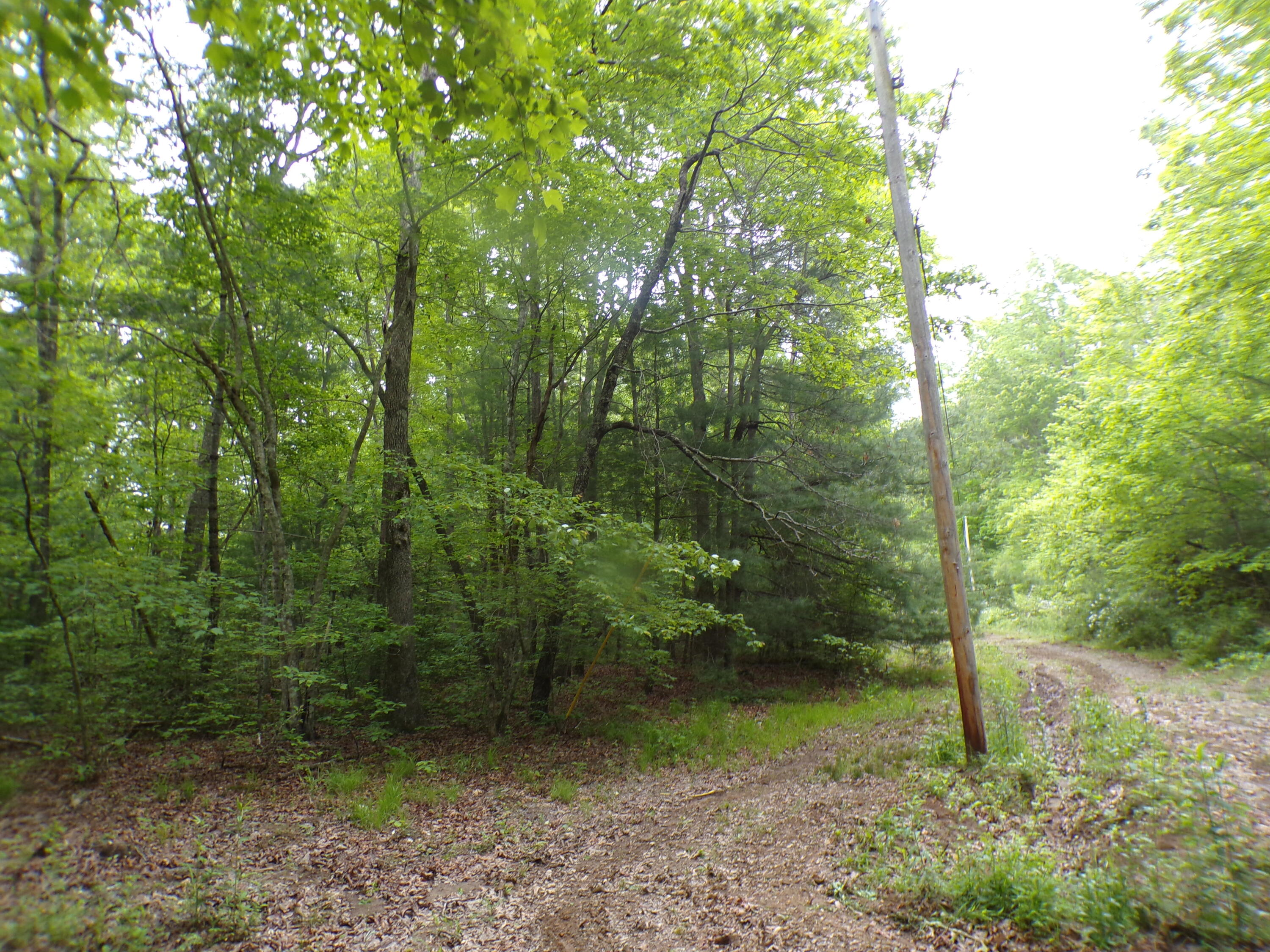 Vista Trail #160, Crossville, Tennessee image 3