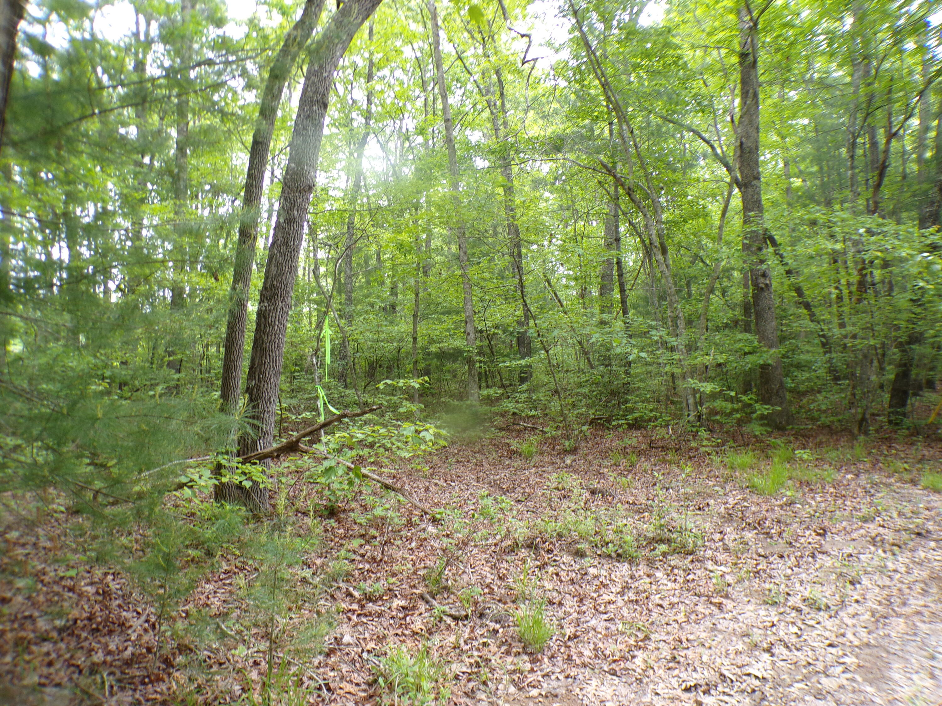 Vista Trail #160, Crossville, Tennessee image 2