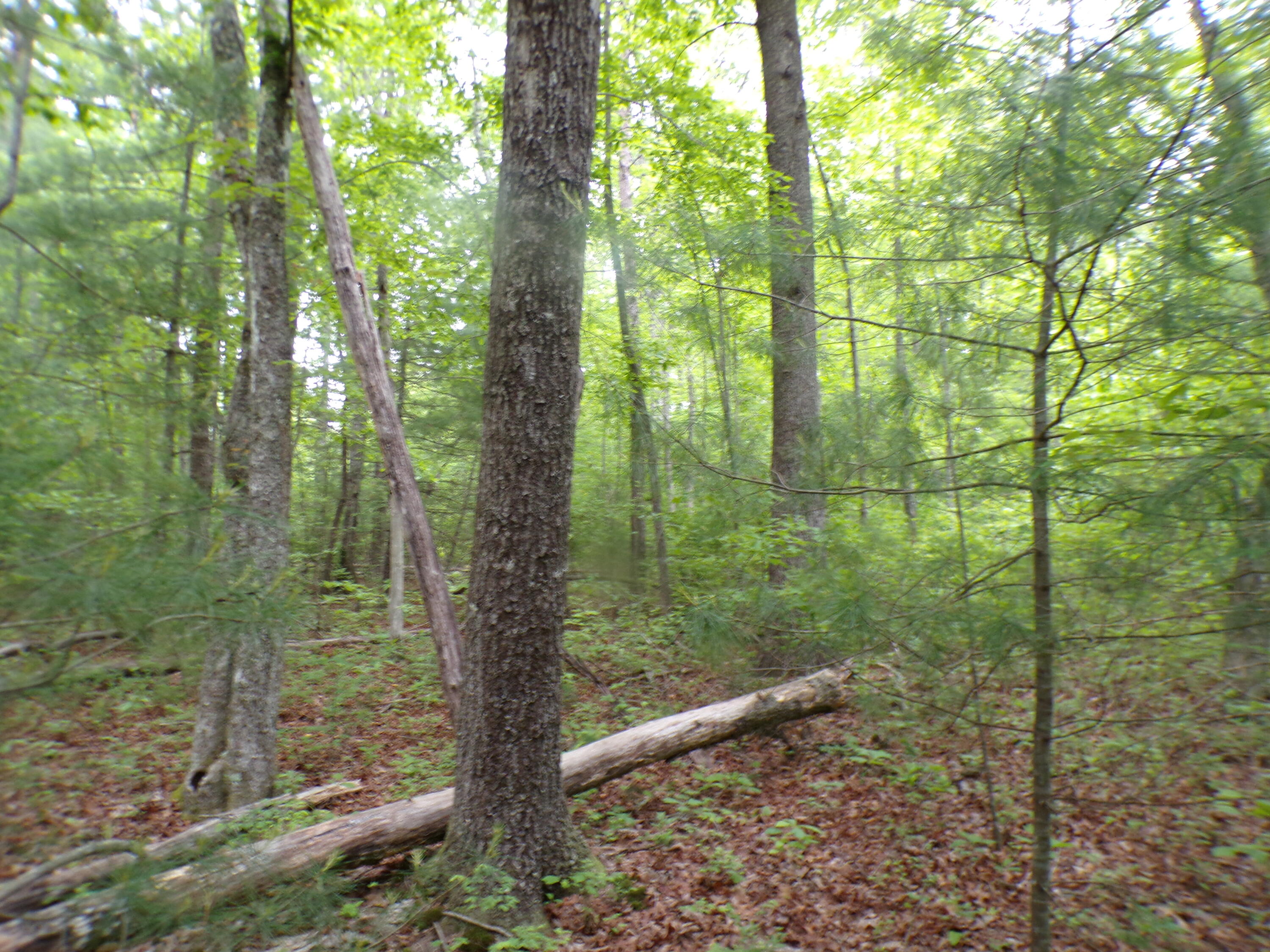 Vista Trail #160, Crossville, Tennessee image 8