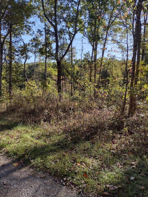 Photo of 000 Pine Court #48, Crossville, TN 38572 (MLS # 1501633)
