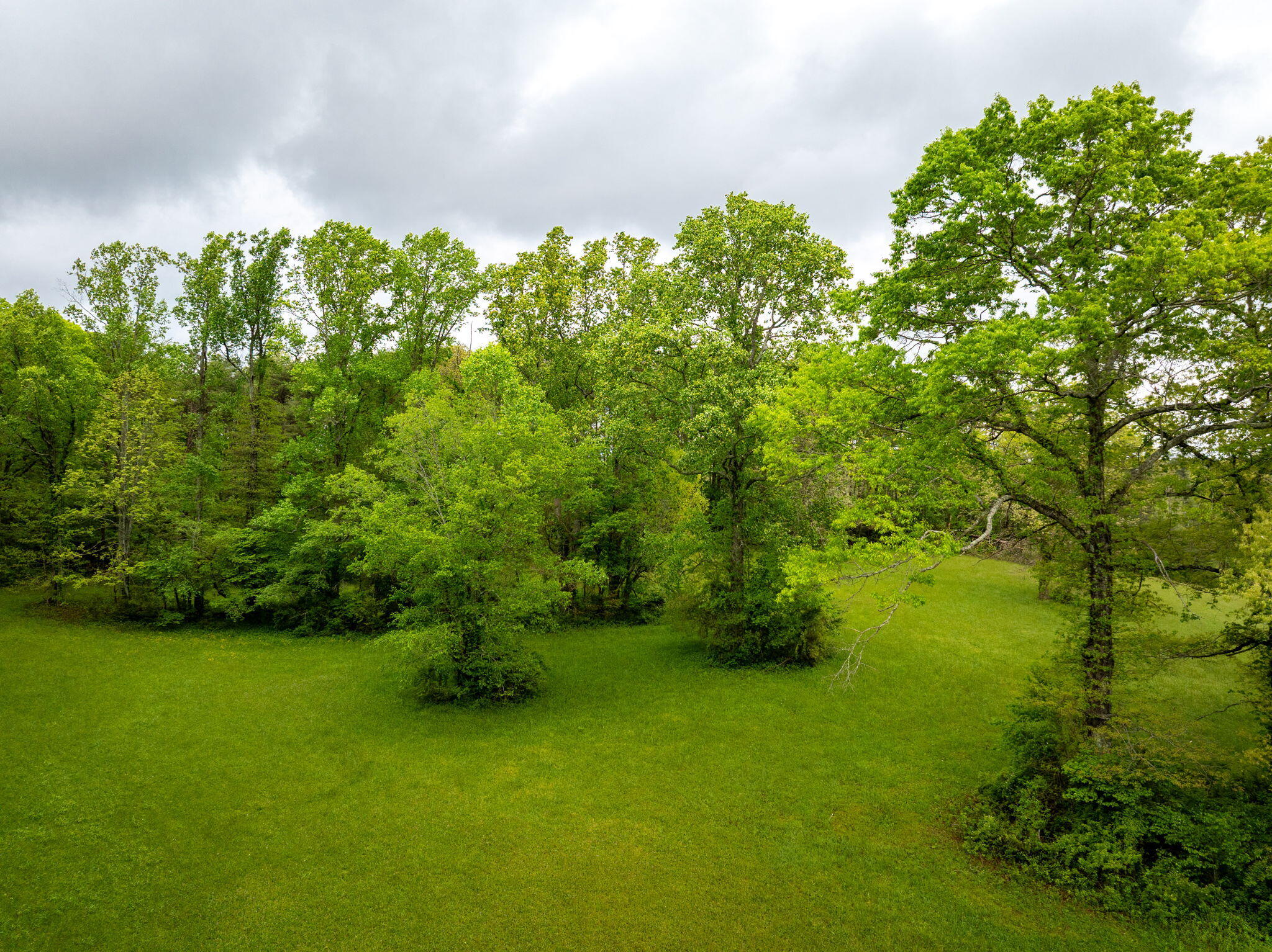 Blaine Smith Road #TRACT 9, Graysville, Tennessee image 6