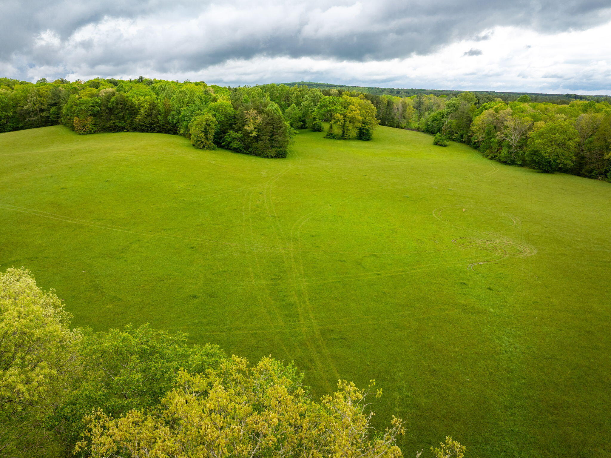 Blaine Smith Road #TRACT 9, Graysville, Tennessee image 3