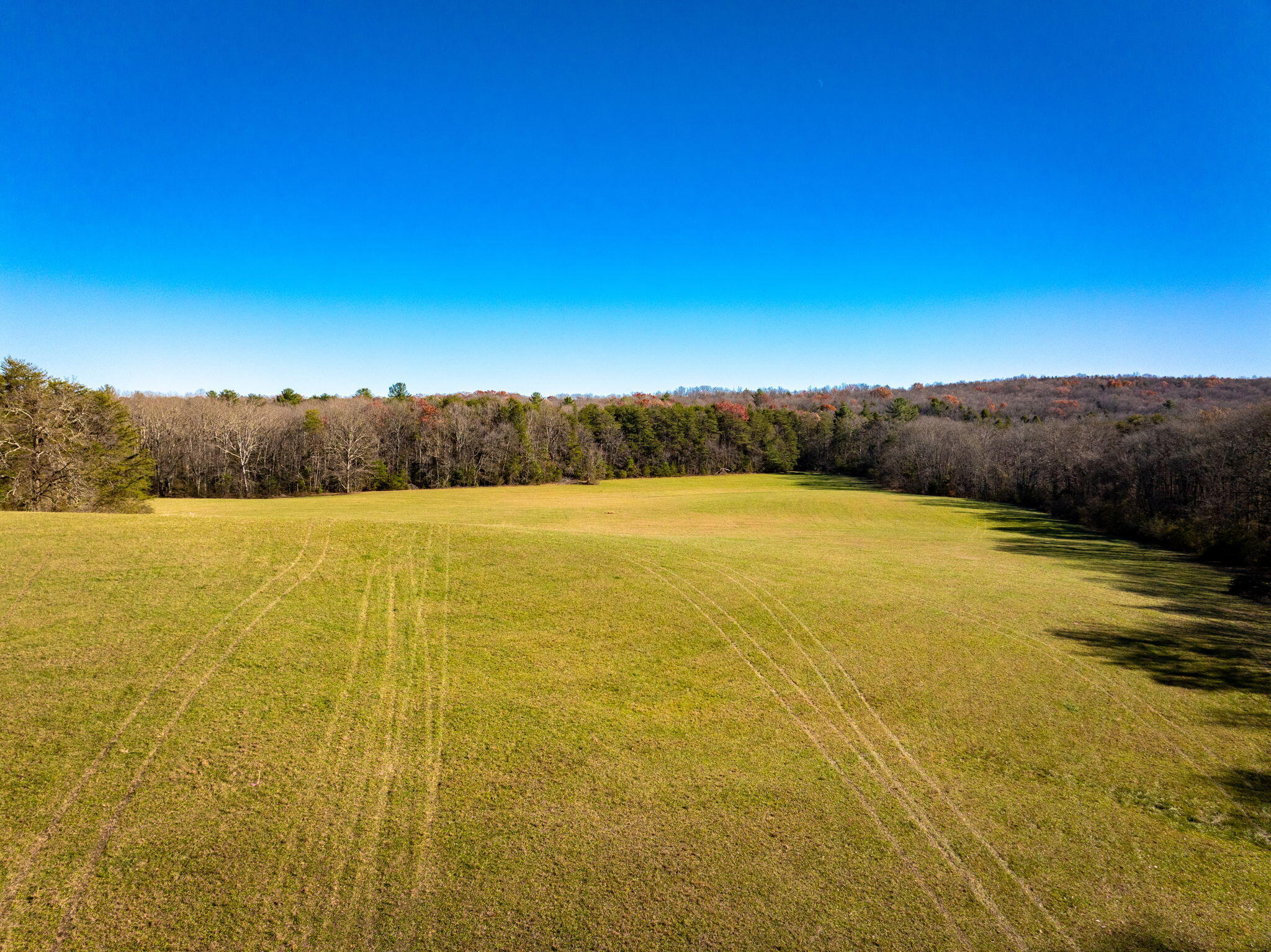 Blaine Smith Road #TRACT 9, Graysville, Tennessee image 11