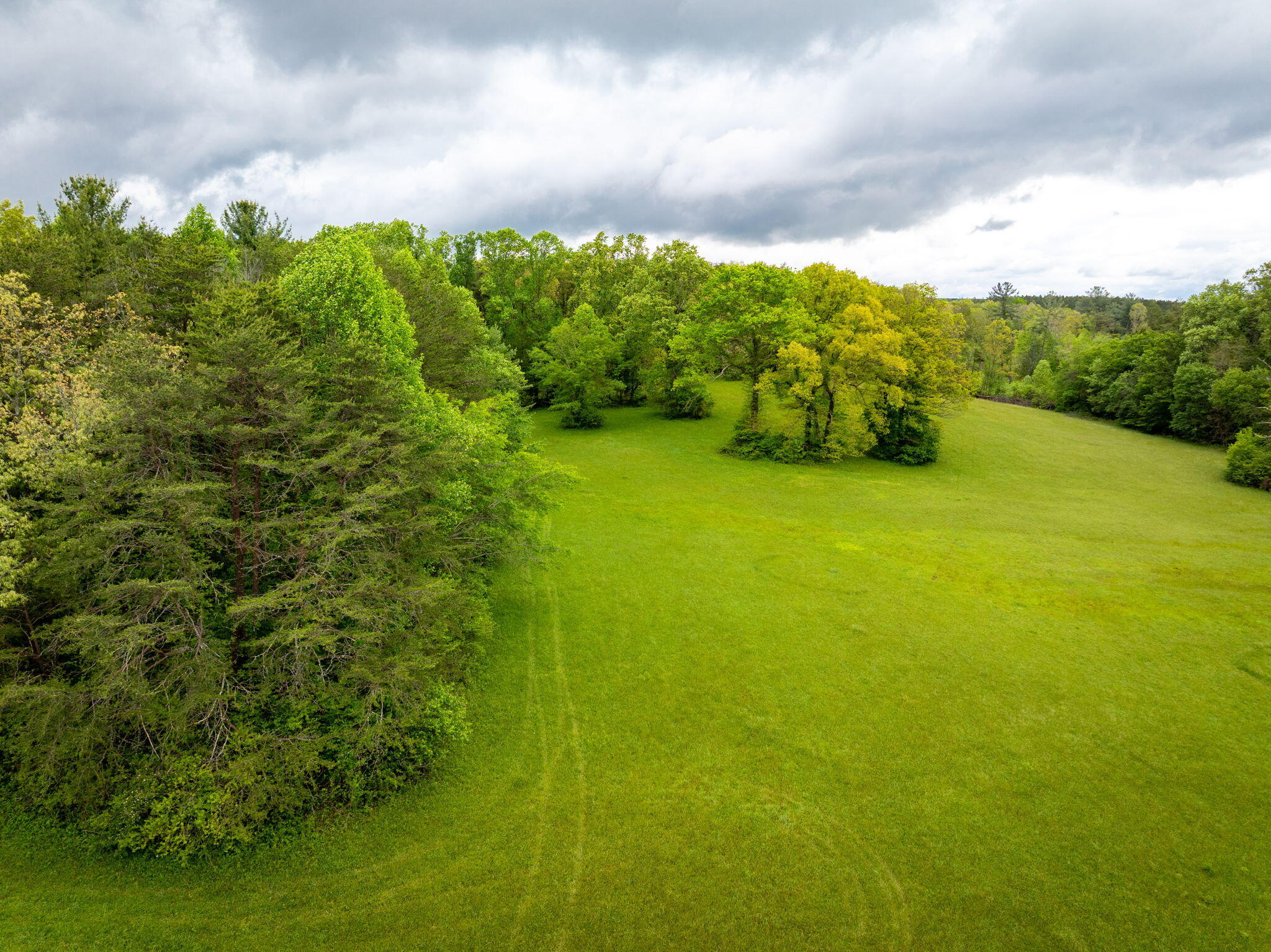 Blaine Smith Road #TRACT 9, Graysville, Tennessee image 5