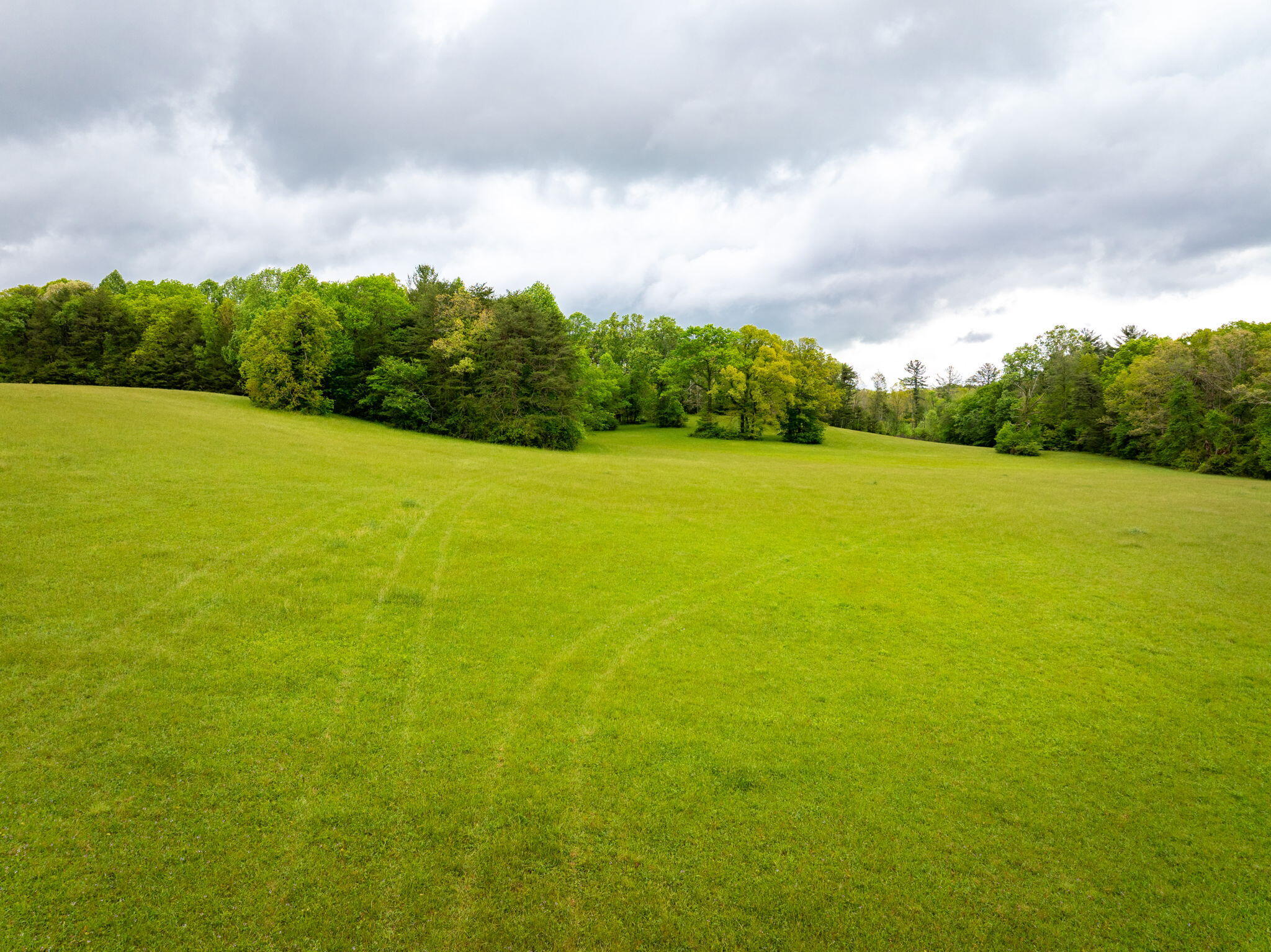 Blaine Smith Road #TRACT 9, Graysville, Tennessee image 4