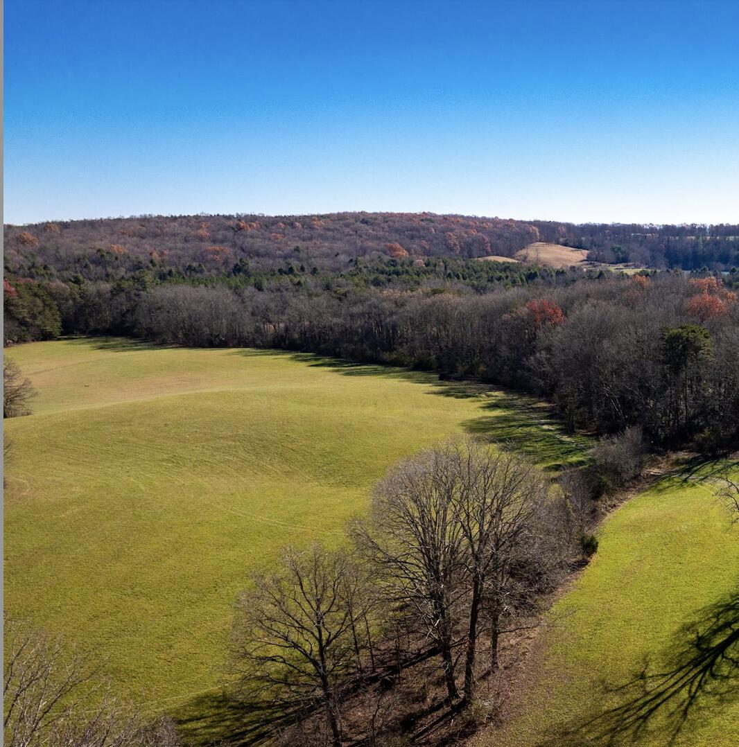 Blaine Smith Road #TRACT 9, Graysville, Tennessee image 3