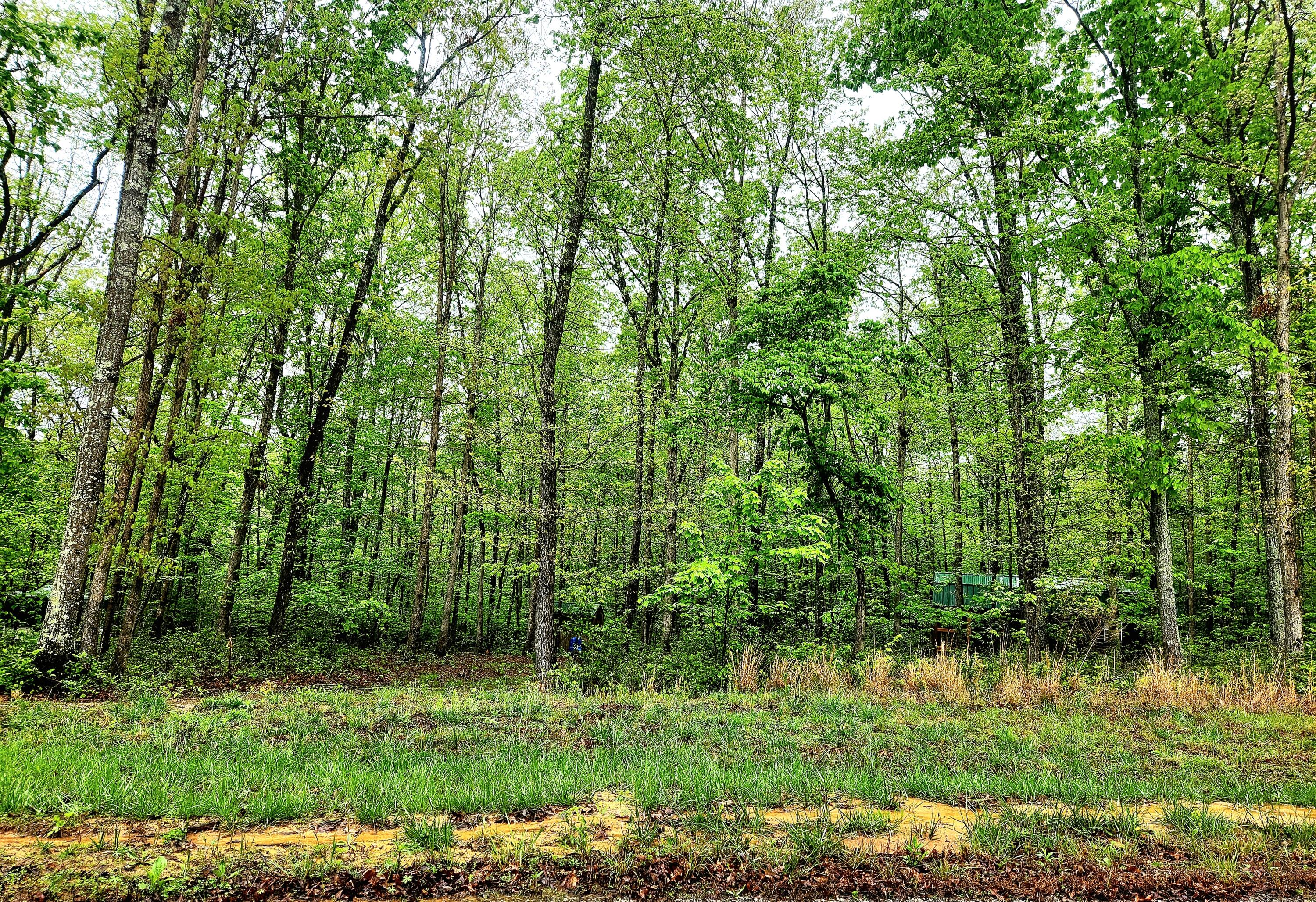 200 Salolee Circle #256, South Pittsburg, Tennessee image 4