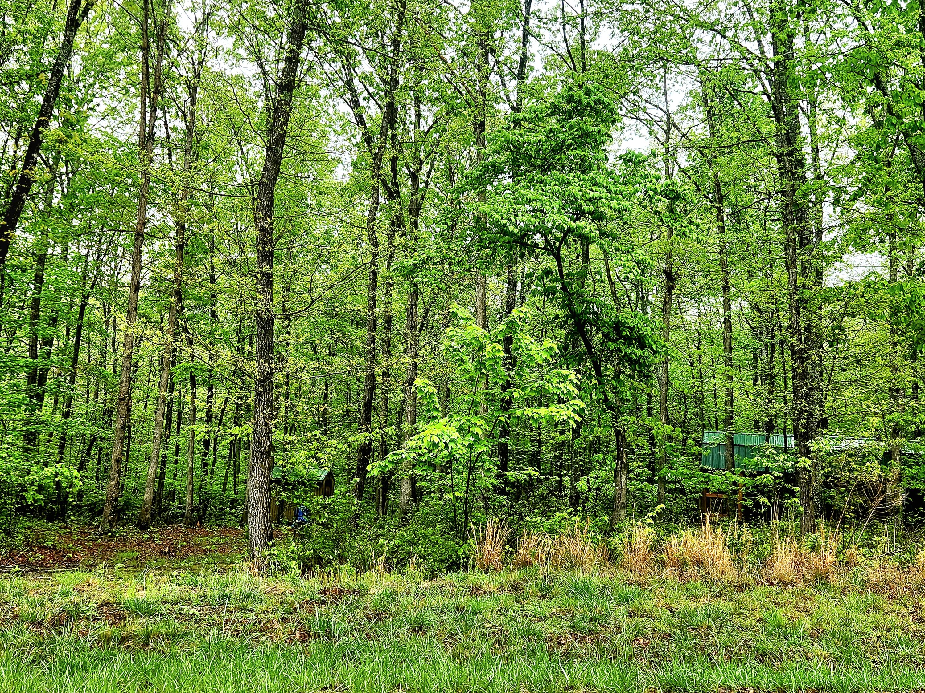 200 Salolee Circle #256, South Pittsburg, Tennessee image 7