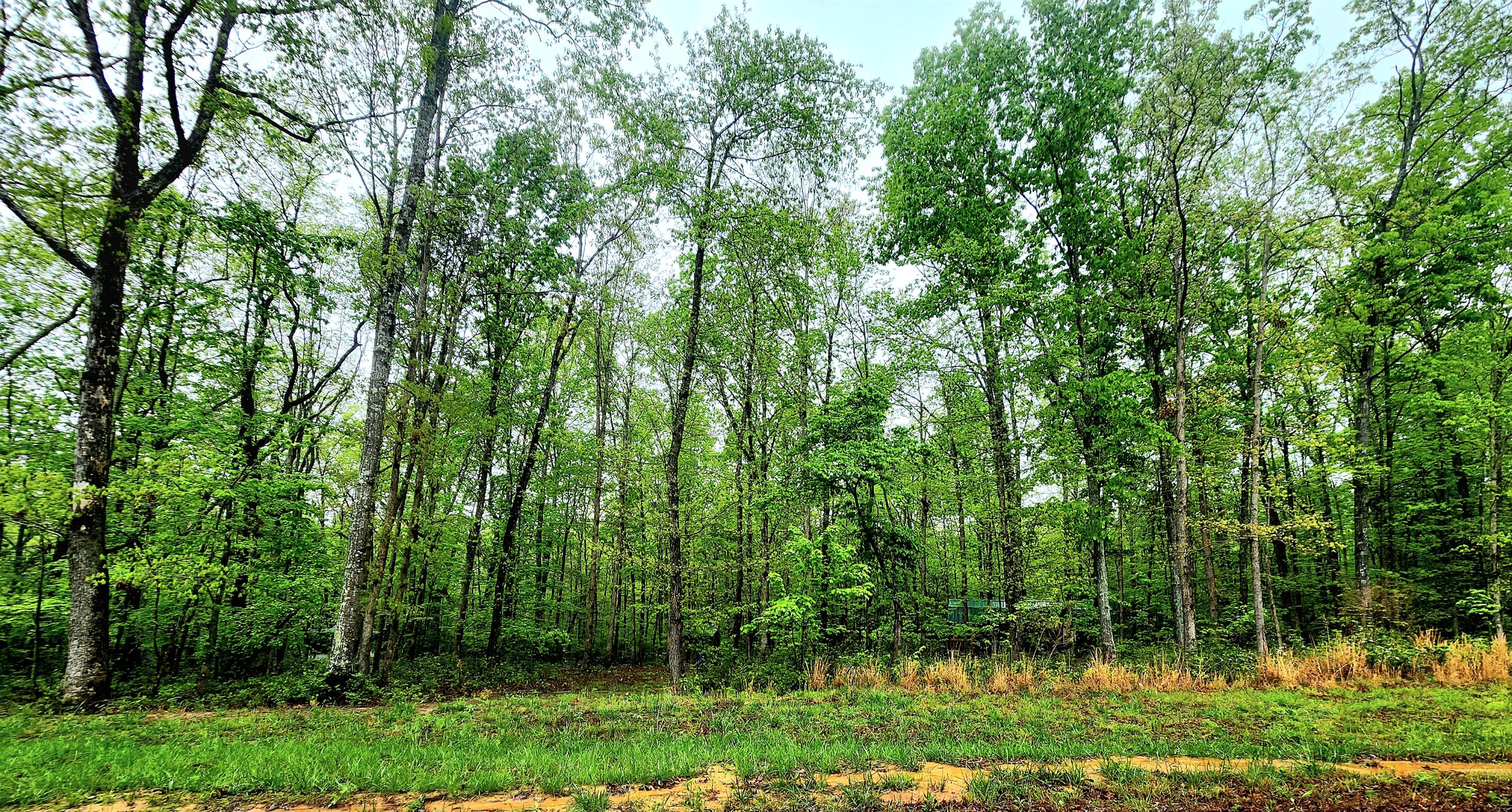 200 Salolee Circle #256, South Pittsburg, Tennessee image 6