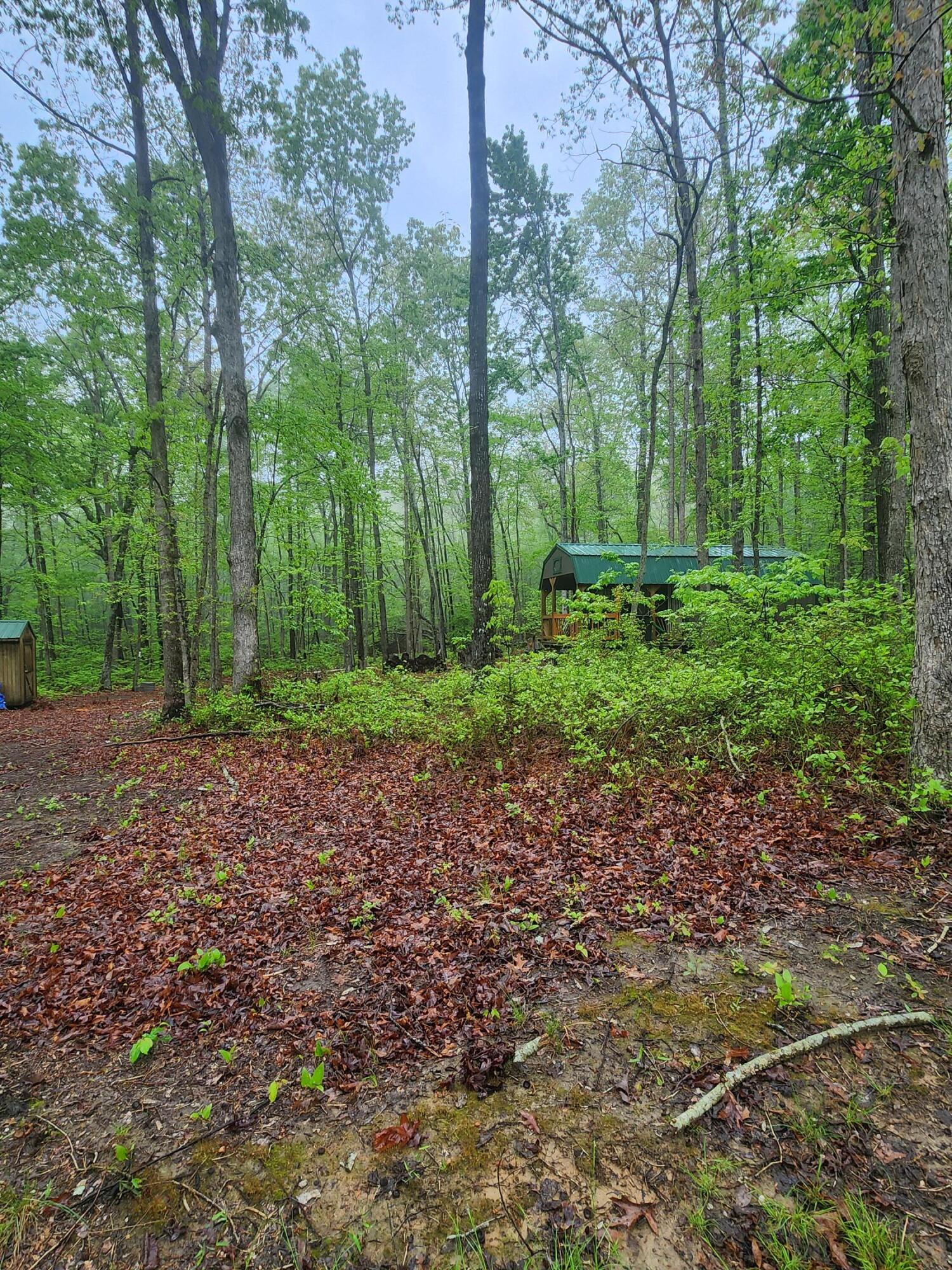200 Salolee Circle #256, South Pittsburg, Tennessee image 13