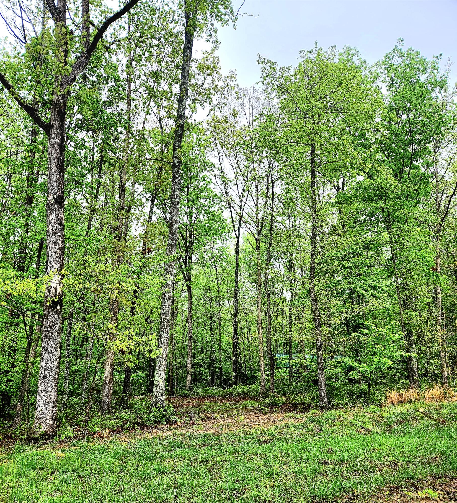 200 Salolee Circle #256, South Pittsburg, Tennessee image 8