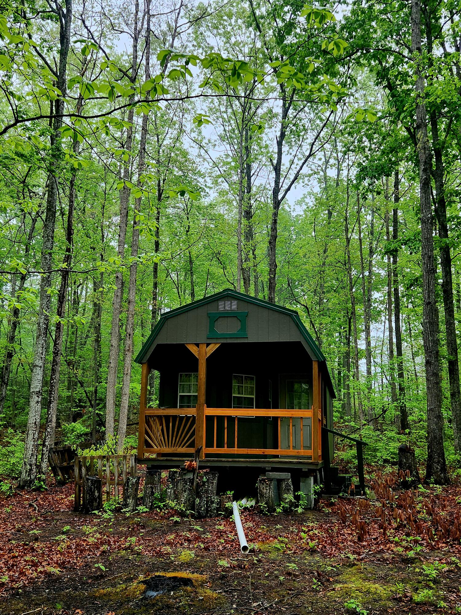 200 Salolee Circle #256, South Pittsburg, Tennessee image 3