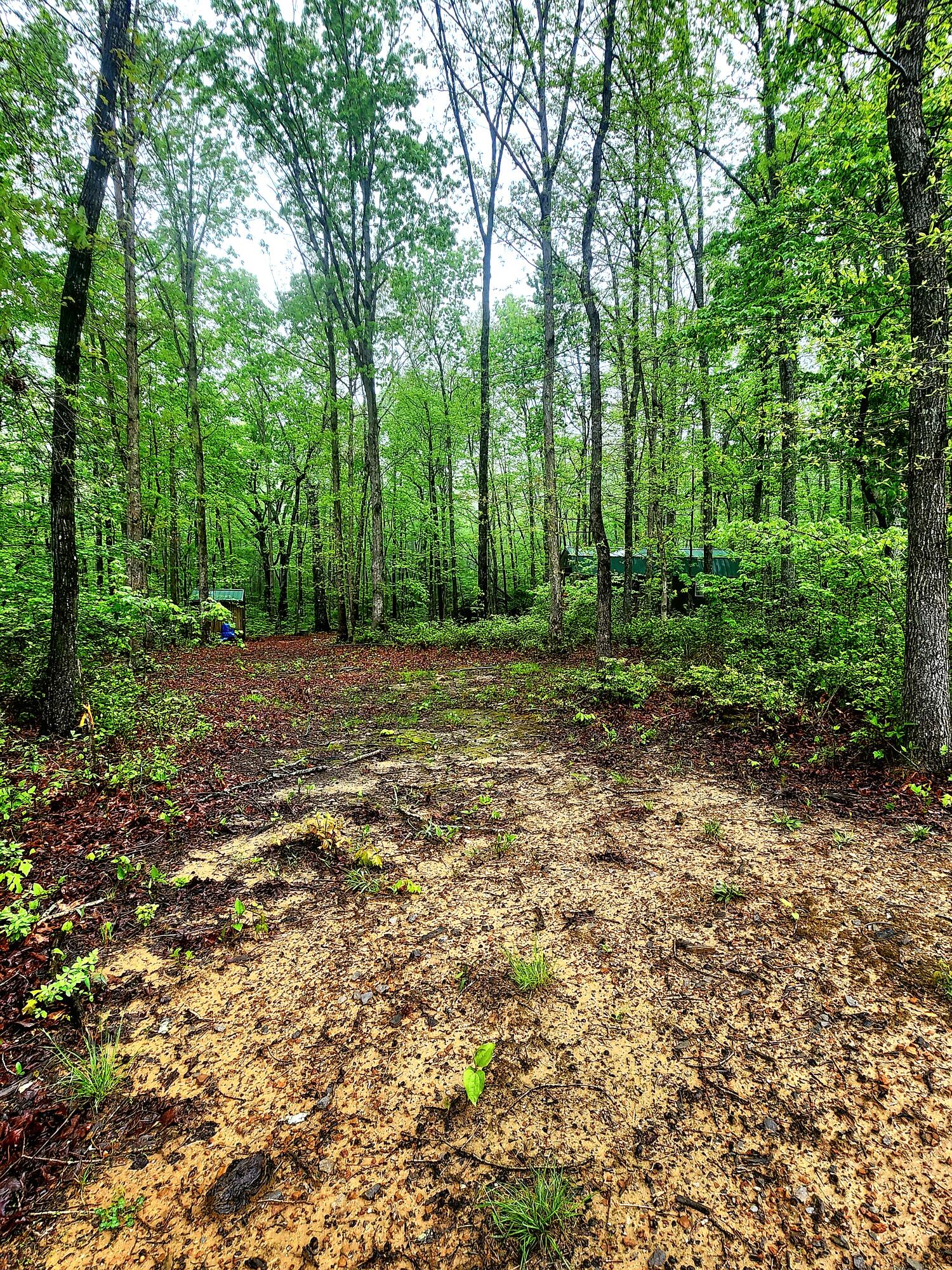 200 Salolee Circle #256, South Pittsburg, Tennessee image 10