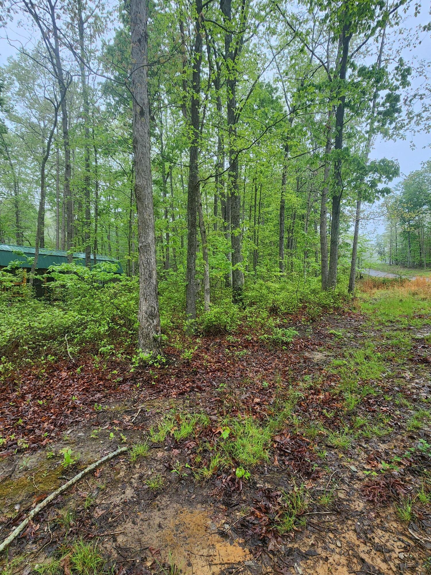 200 Salolee Circle #256, South Pittsburg, Tennessee image 14