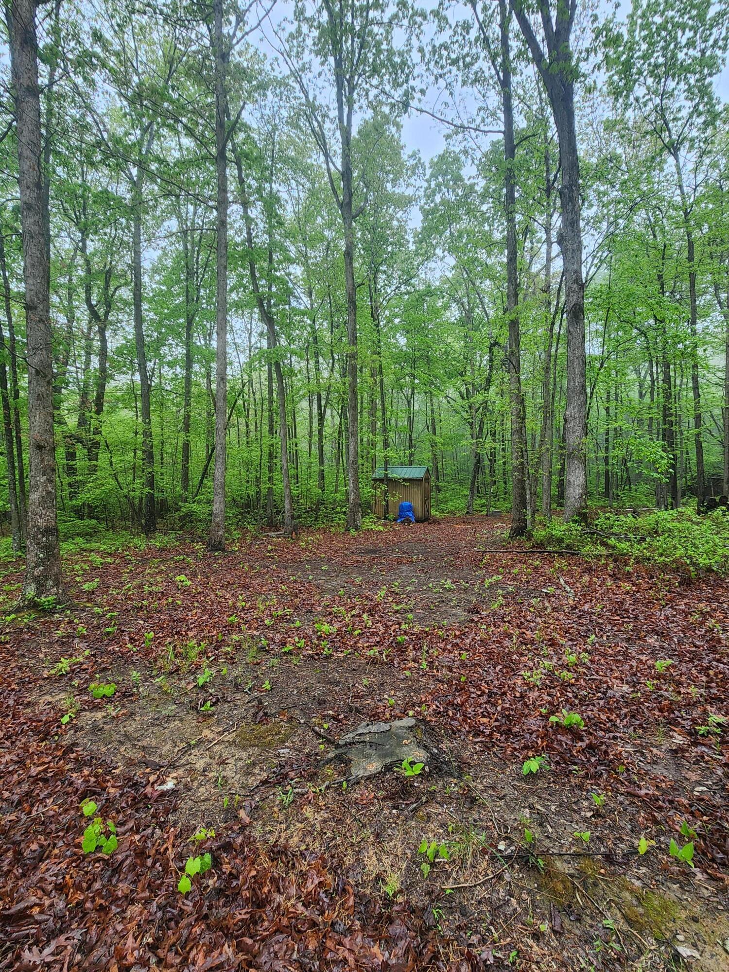 200 Salolee Circle #256, South Pittsburg, Tennessee image 12