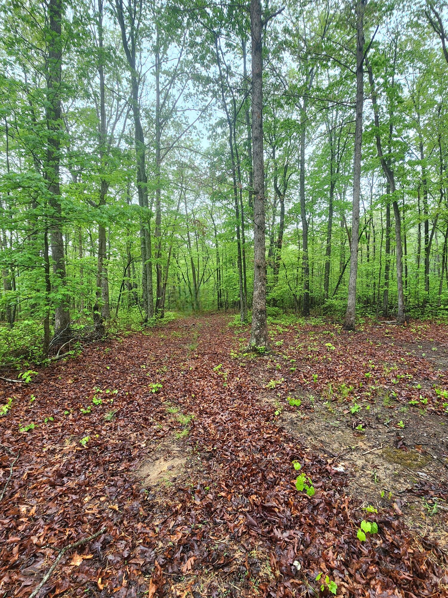 200 Salolee Circle #256, South Pittsburg, Tennessee image 11