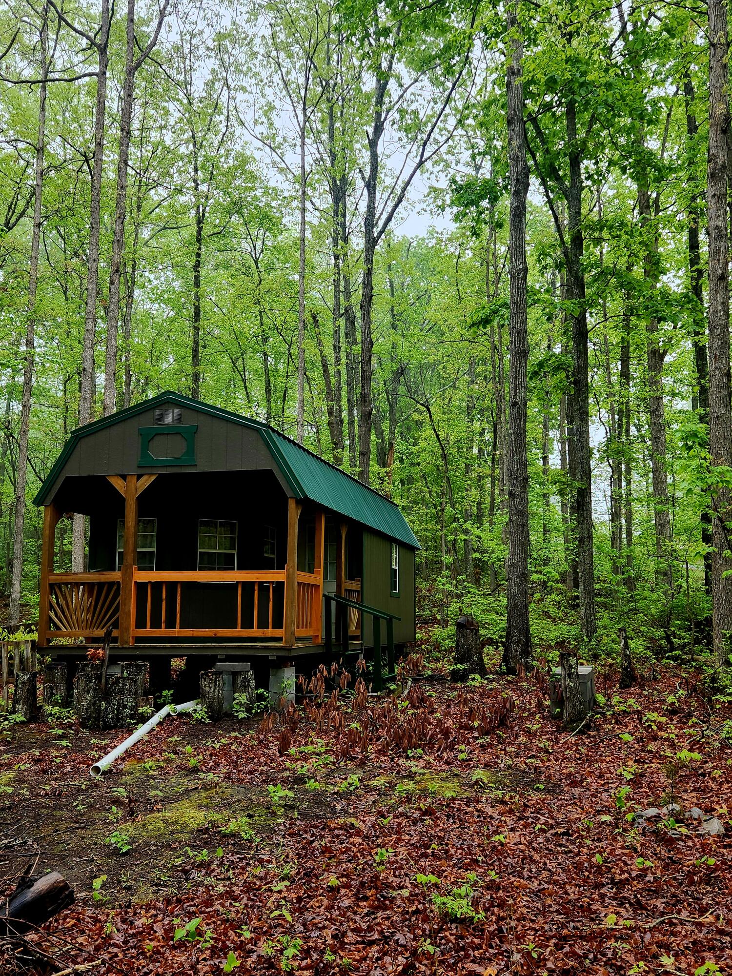 200 Salolee Circle #256, South Pittsburg, Tennessee image 2