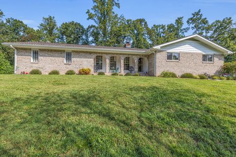 Photo of 10035 Shagbark Trail, Ooltewah, TN 37363 (MLS # 1520026)
