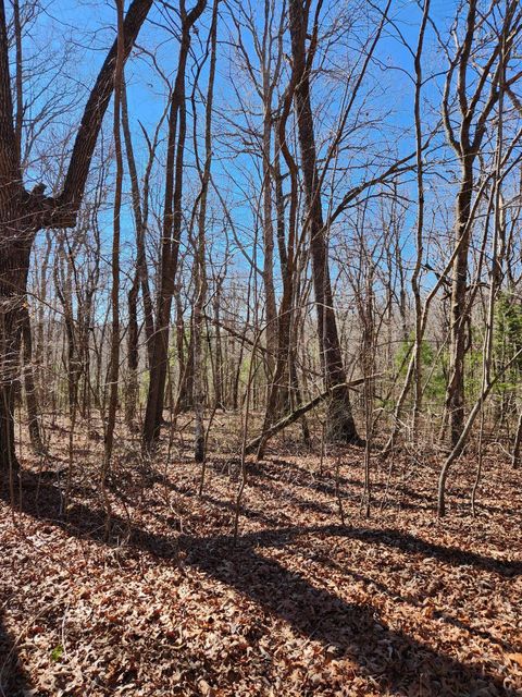 Vacant Land For Sale - 18 Devon Loop<br/> Cumberland County, Crossville, TN 38558
