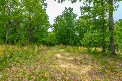 Vacant Land For Sale - Moonlight Lane<br/> Jasper, TN 37347