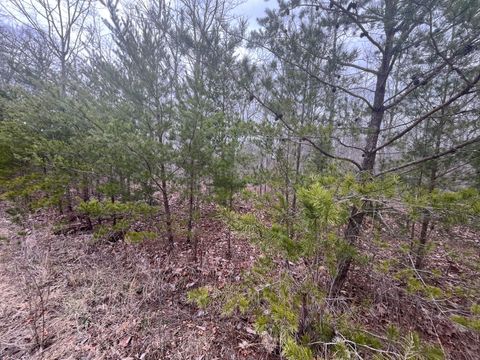 Photo of 0 Maple Drive, Pikeville, TN 37367 (MLS # 1510576)