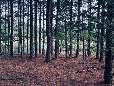Photo of 255 Waterwheel Way, Jasper, TN 37347 (MLS # 1533878)