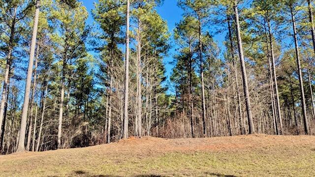 Buck Crossing Drive #LOT 1024, Guild, Tennessee image 17