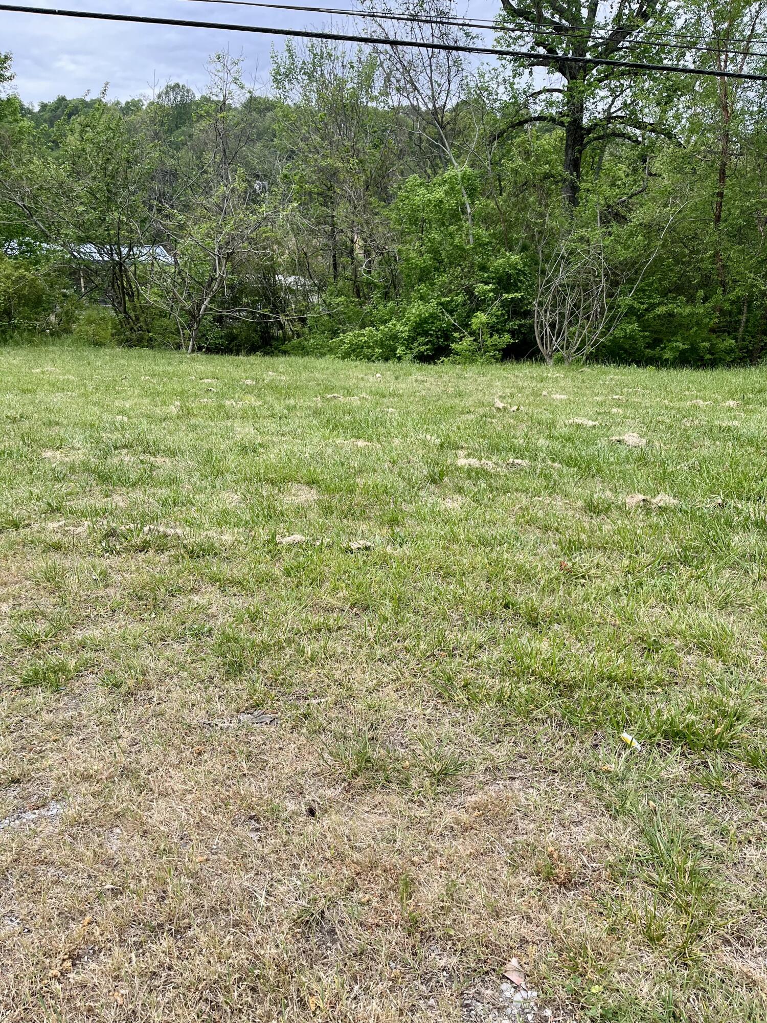 1615 Old York Highway, Dunlap, Tennessee image 4
