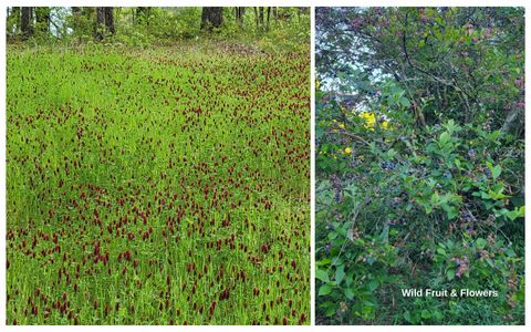 Tiny photo for 2907 Mowbray Pike, Soddy Daisy, TN 37379 (MLS # 1522627)