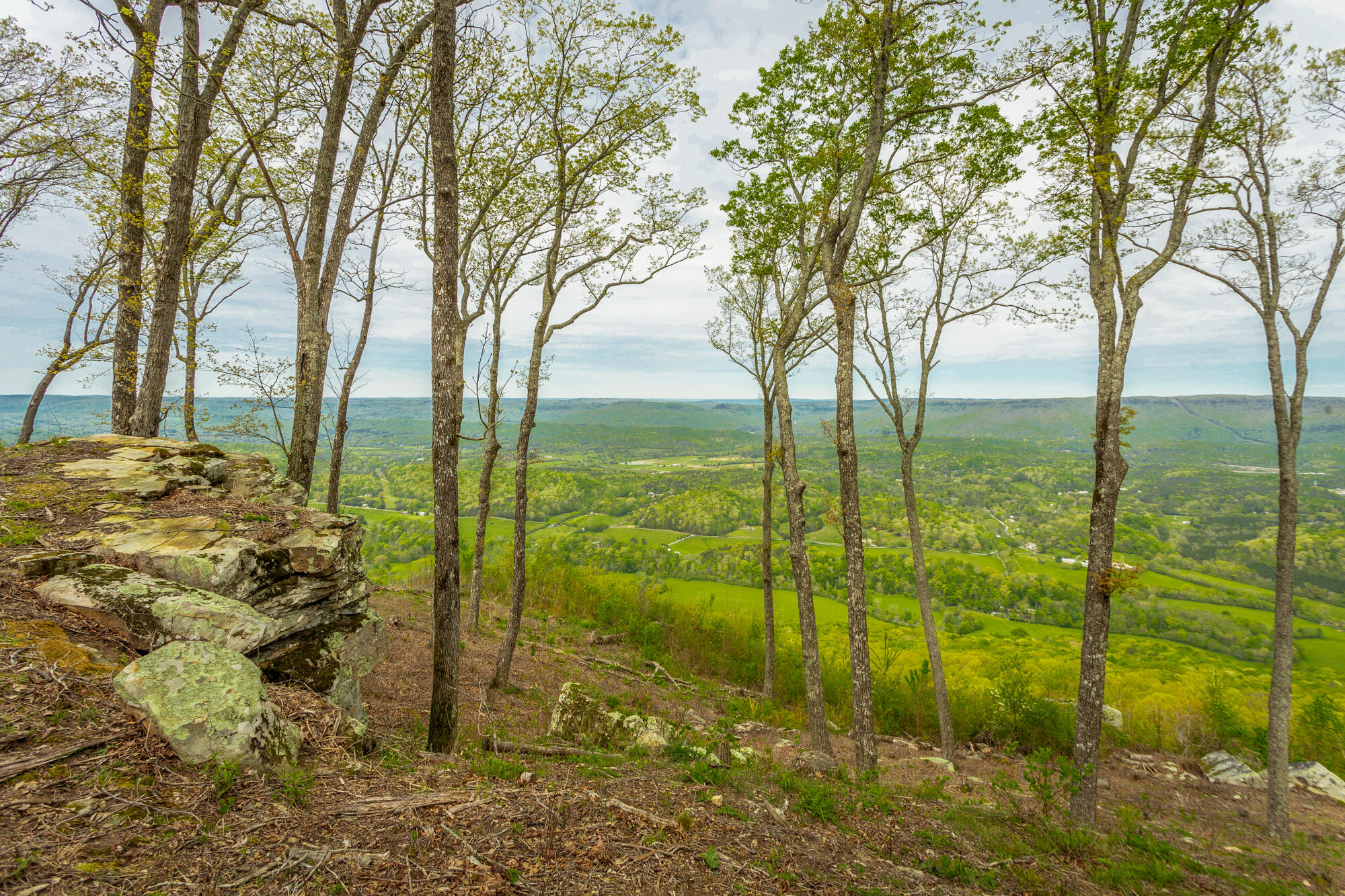 23 Brow Wood Lane, Lookout Mountain, Georgia image 5