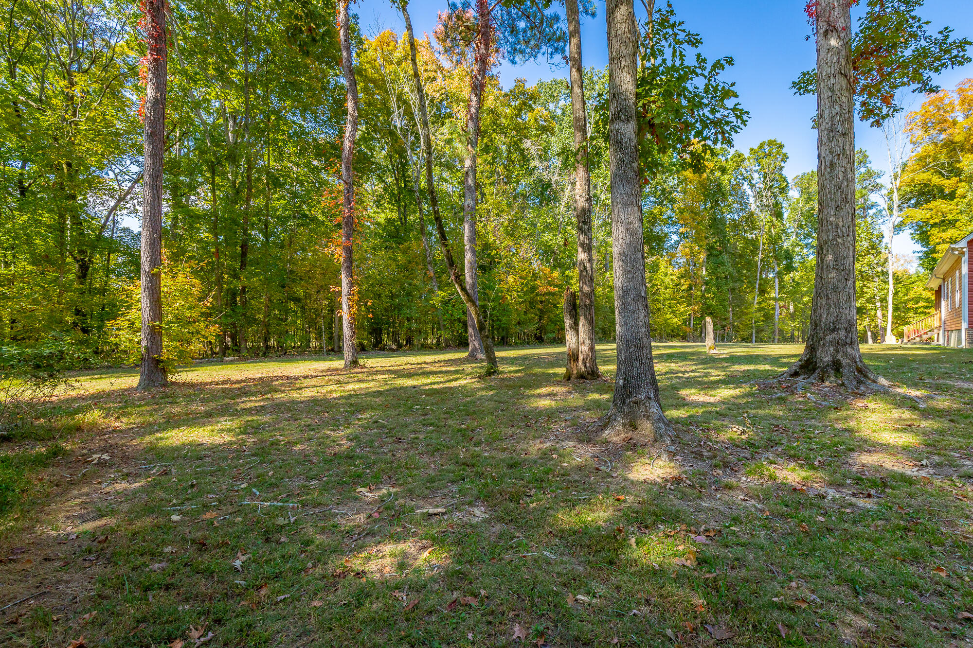236 Foster Lane, Ringgold, Georgia image 42