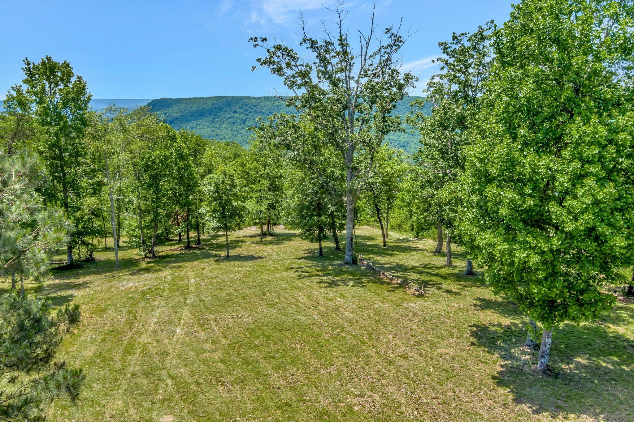 225 Bobcat Trail #210, Jasper, Tennessee image 4