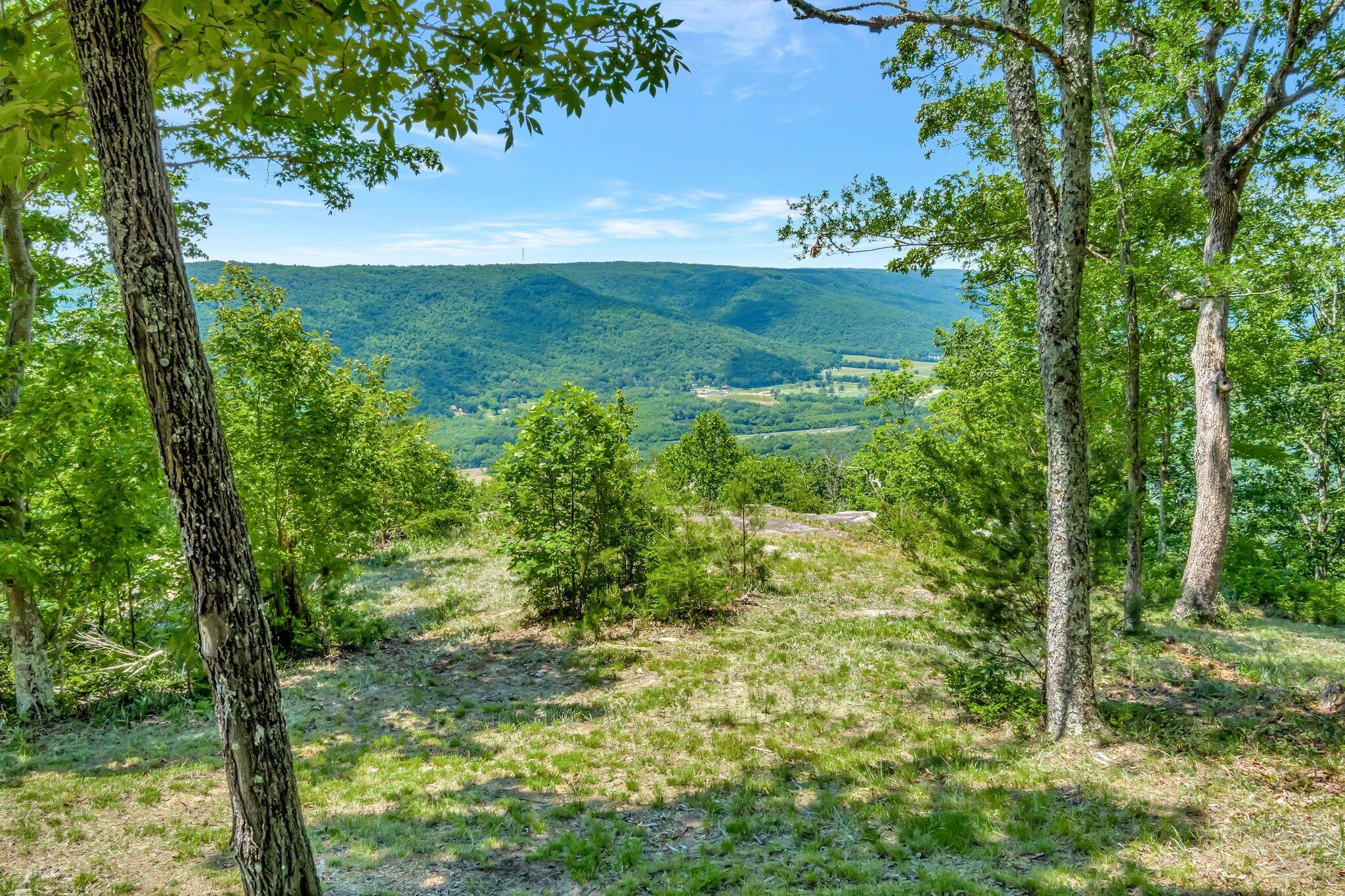 225 Bobcat Trail #210, Jasper, Tennessee image 7
