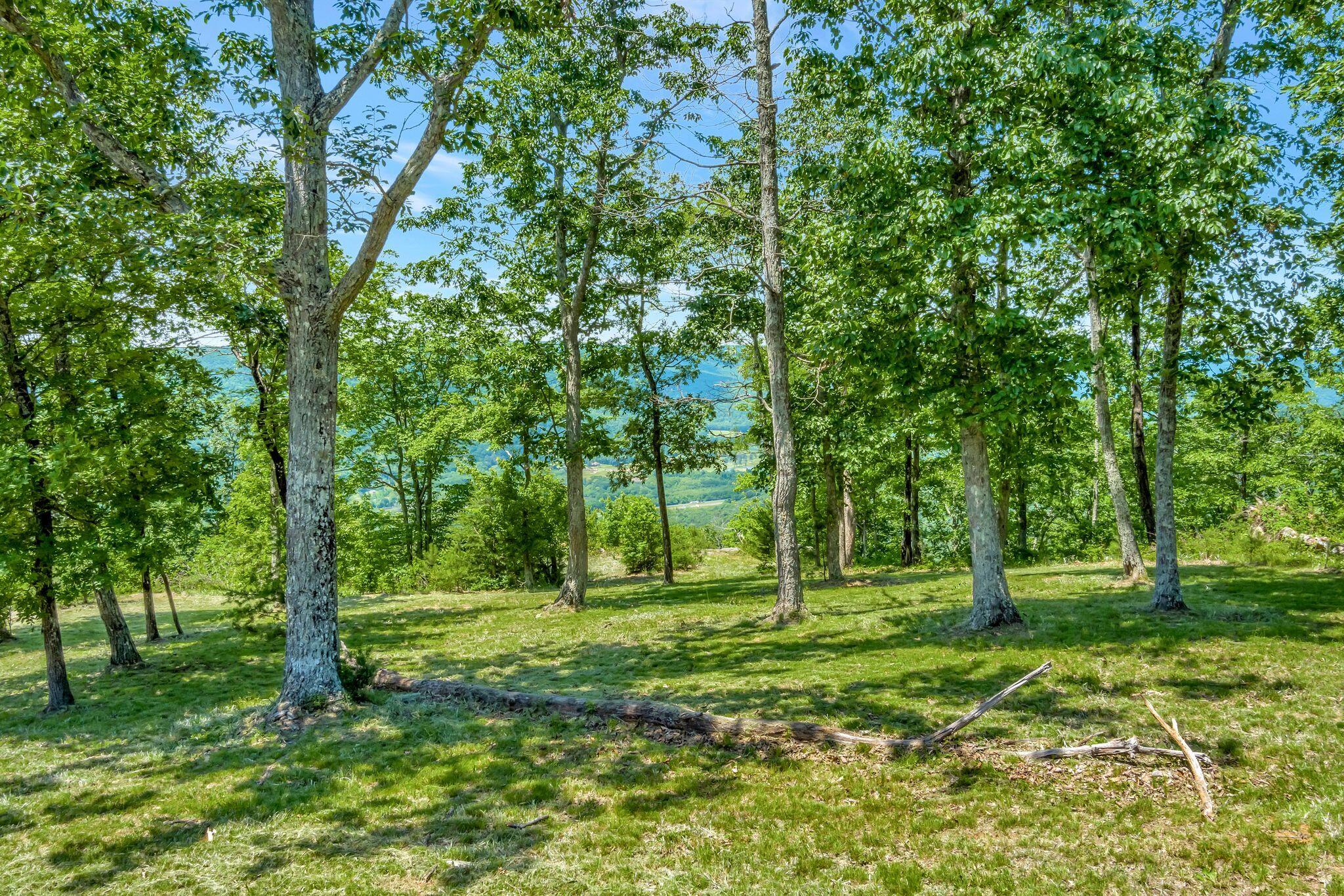 225 Bobcat Trail #210, Jasper, Tennessee image 6