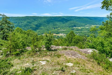 Photo of 225 Bobcat Trail, Jasper, TN 37347 (MLS # 1513971)