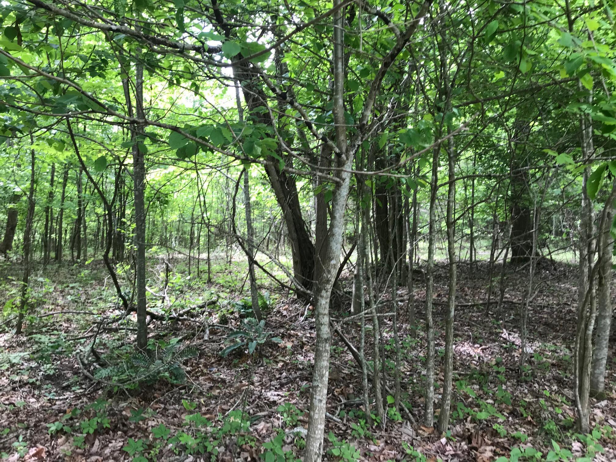 Lot 512 Wilderness Way, Dunlap, Tennessee image 5