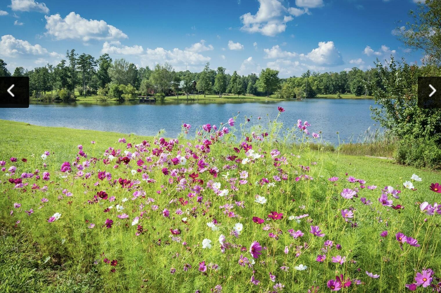 Lot 512 Wilderness Way, Dunlap, Tennessee image 19