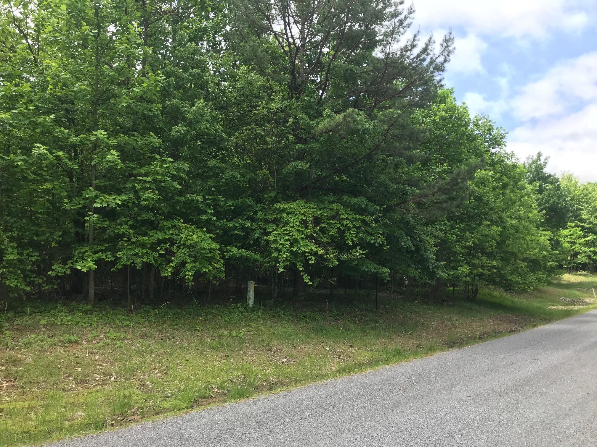 Lot 512 Wilderness Way, Dunlap, Tennessee image 6
