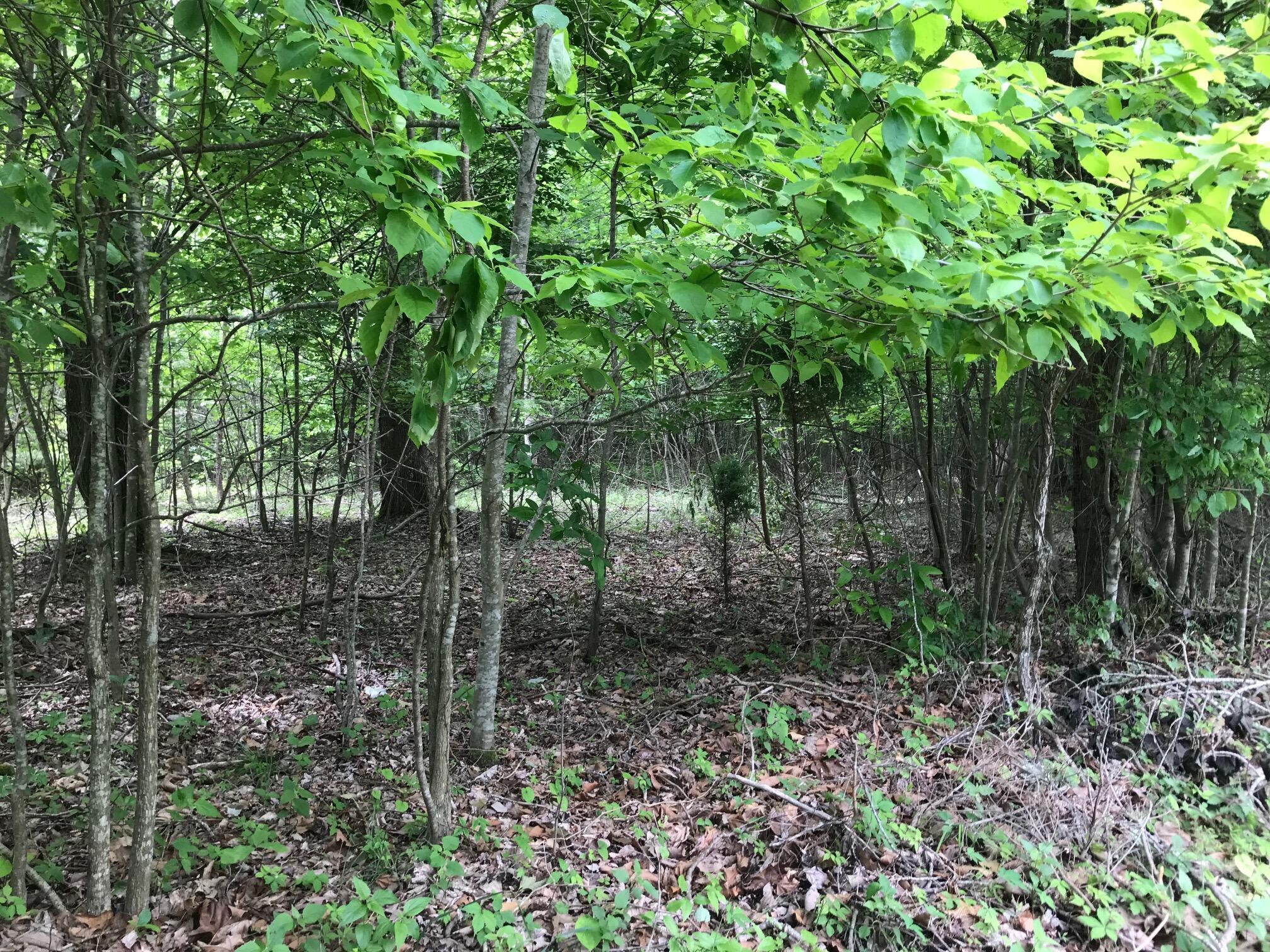 Lot 512 Wilderness Way, Dunlap, Tennessee image 3