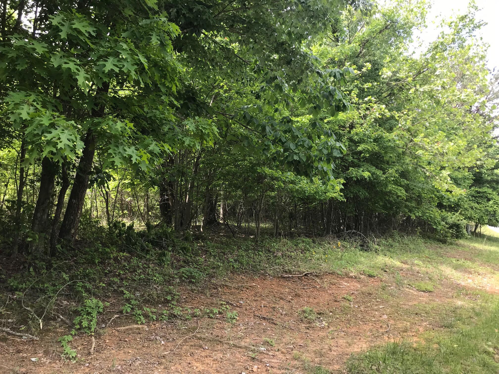 Lot 512 Wilderness Way, Dunlap, Tennessee image 7