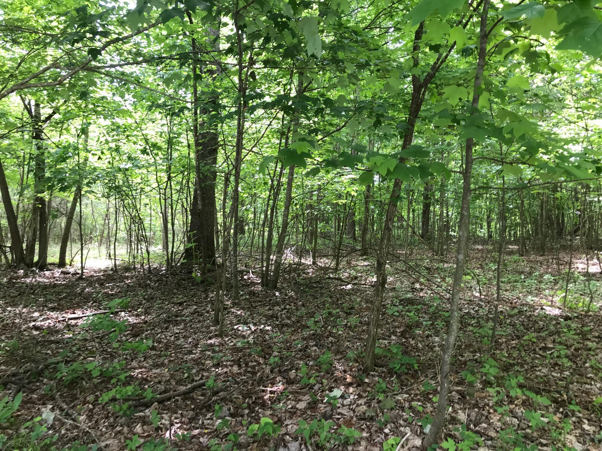 Lot 512 Wilderness Way, Dunlap, Tennessee image 2