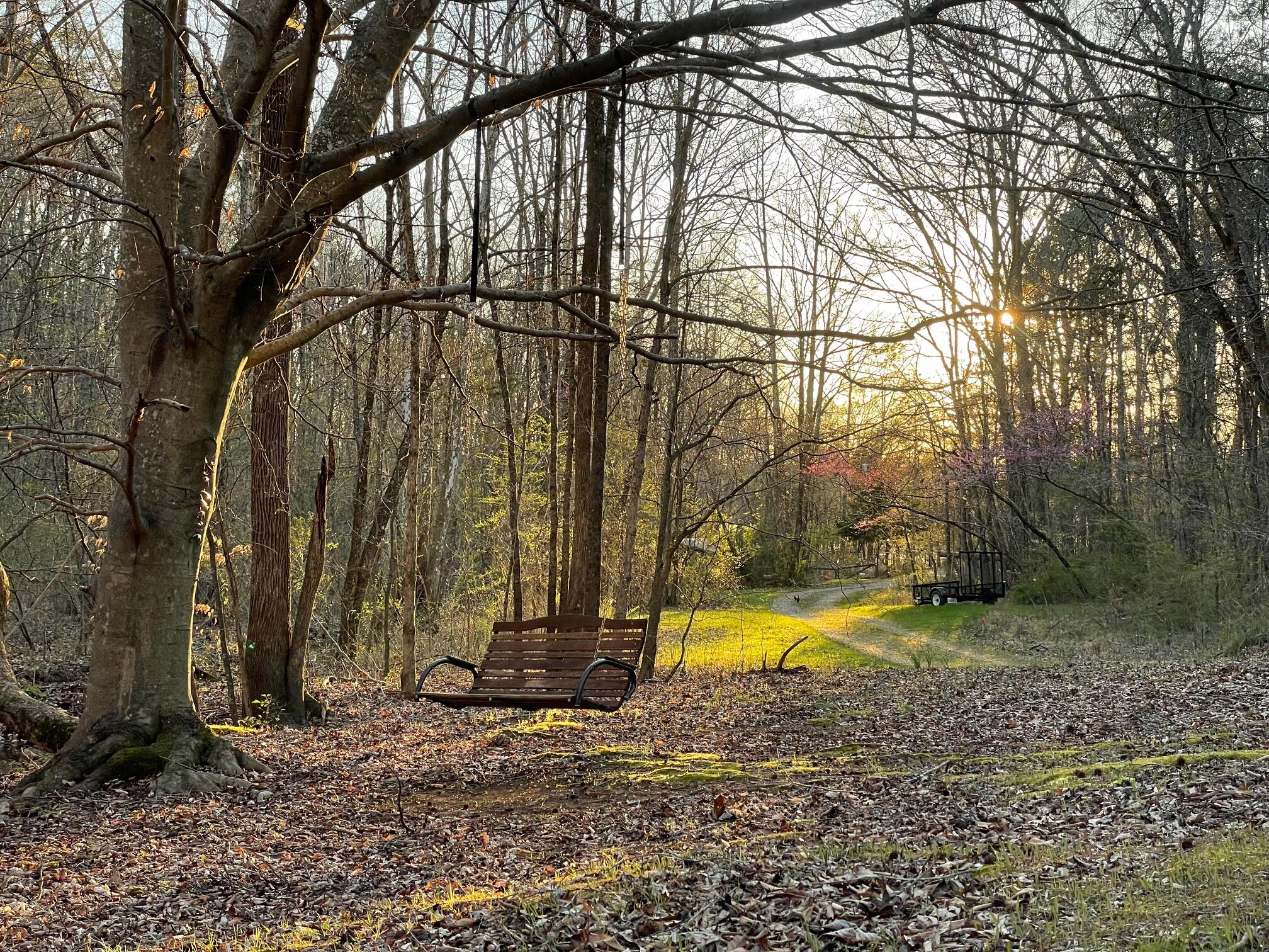 577 Rock Ridge Rd Road, Valley Head, Alabama image 8