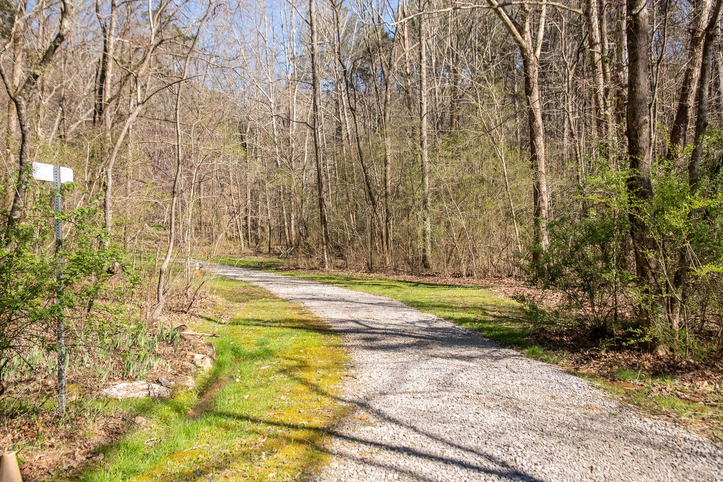 577 Rock Ridge Rd Road, Valley Head, Alabama image 4