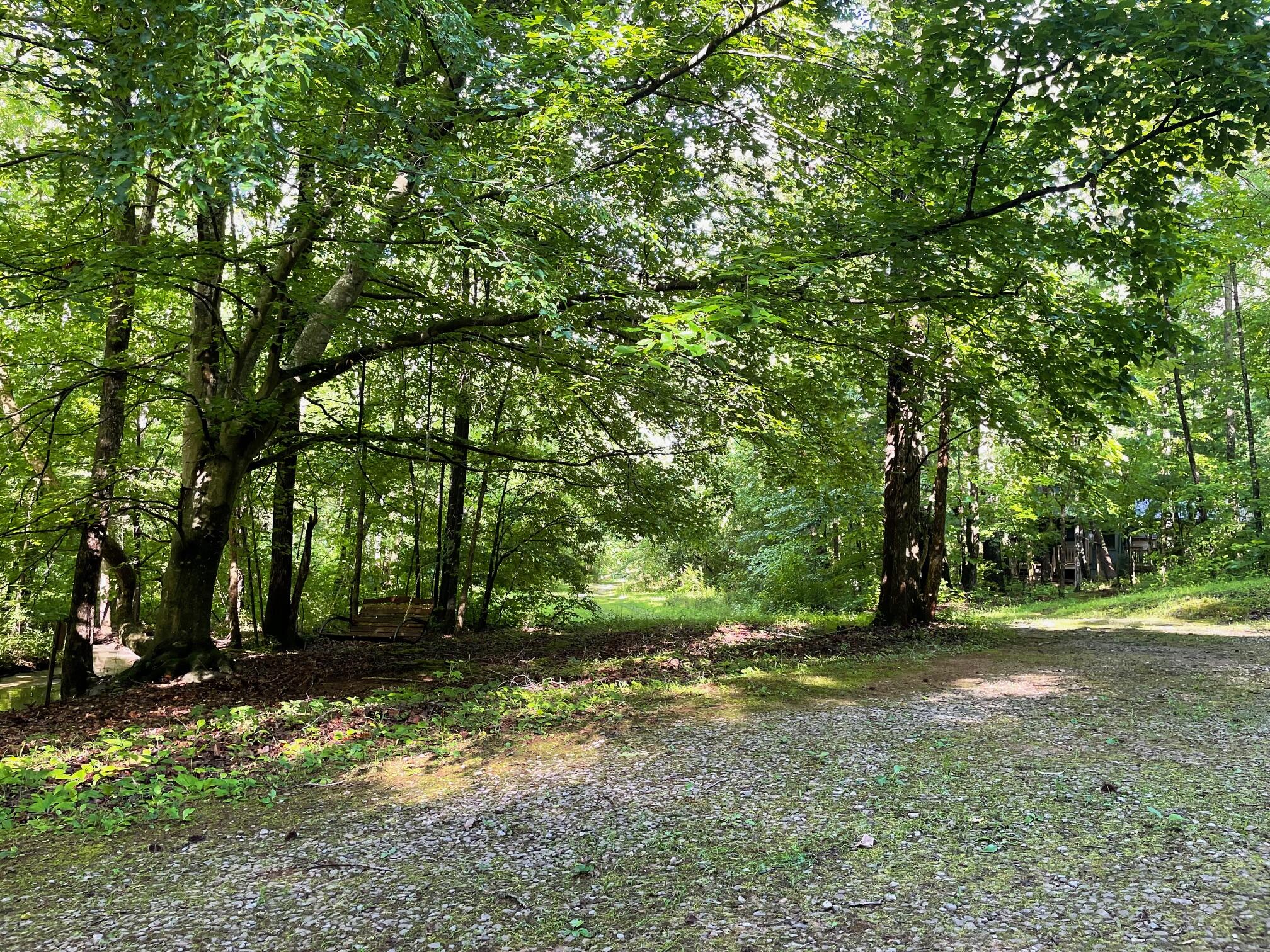 577 Rock Ridge Rd Road, Valley Head, Alabama image 14