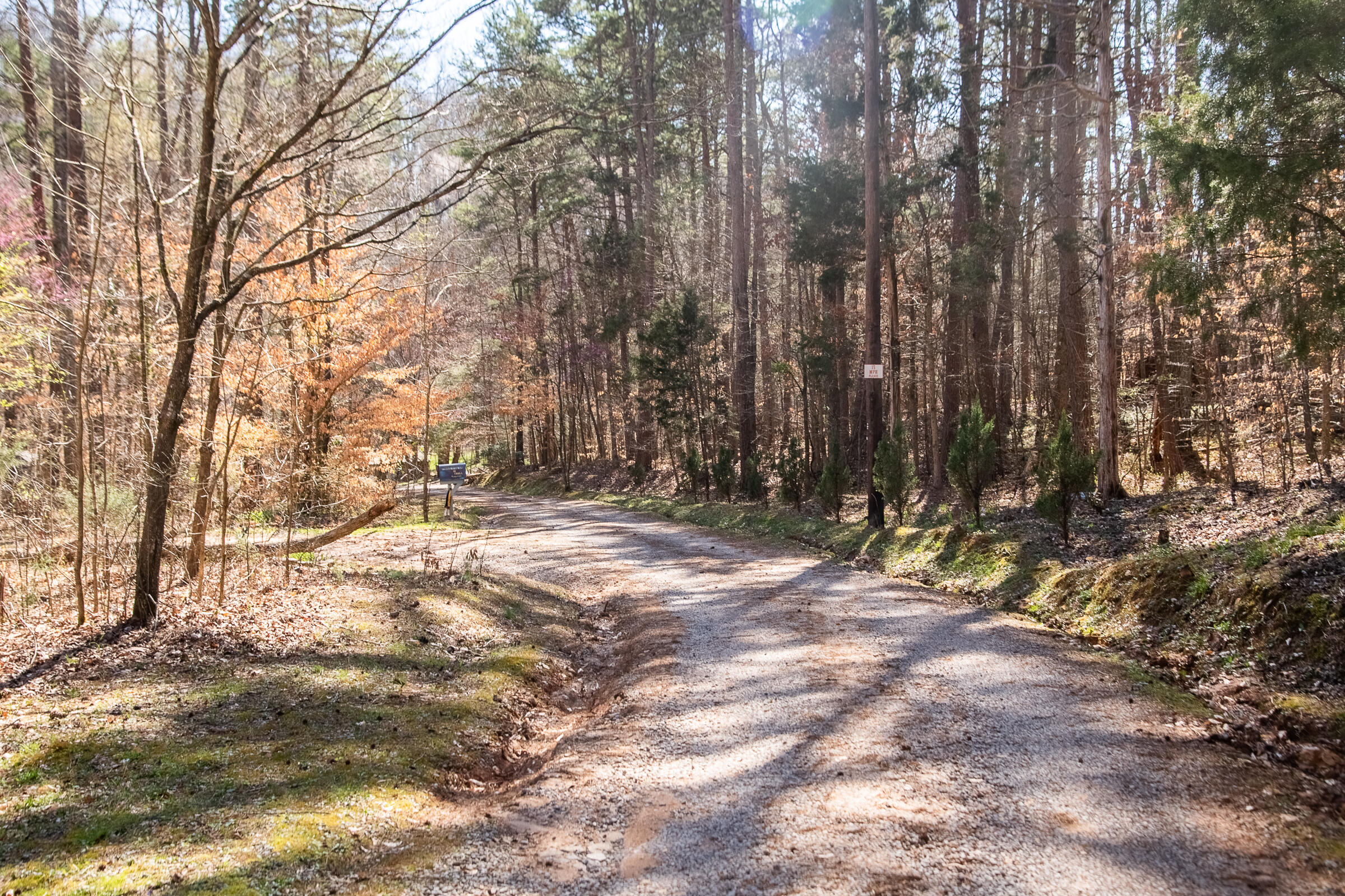 577 Rock Ridge Rd Road, Valley Head, Alabama image 13