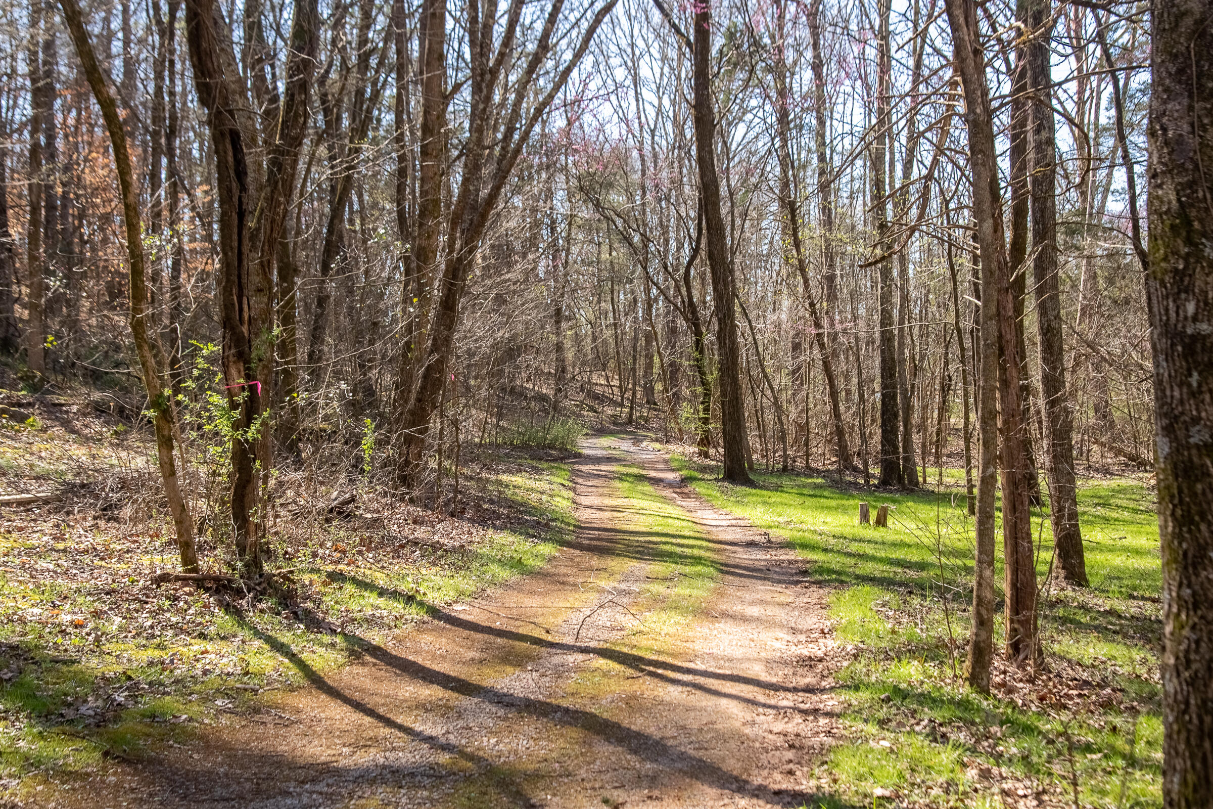 577 Rock Ridge Rd Road, Valley Head, Alabama image 21