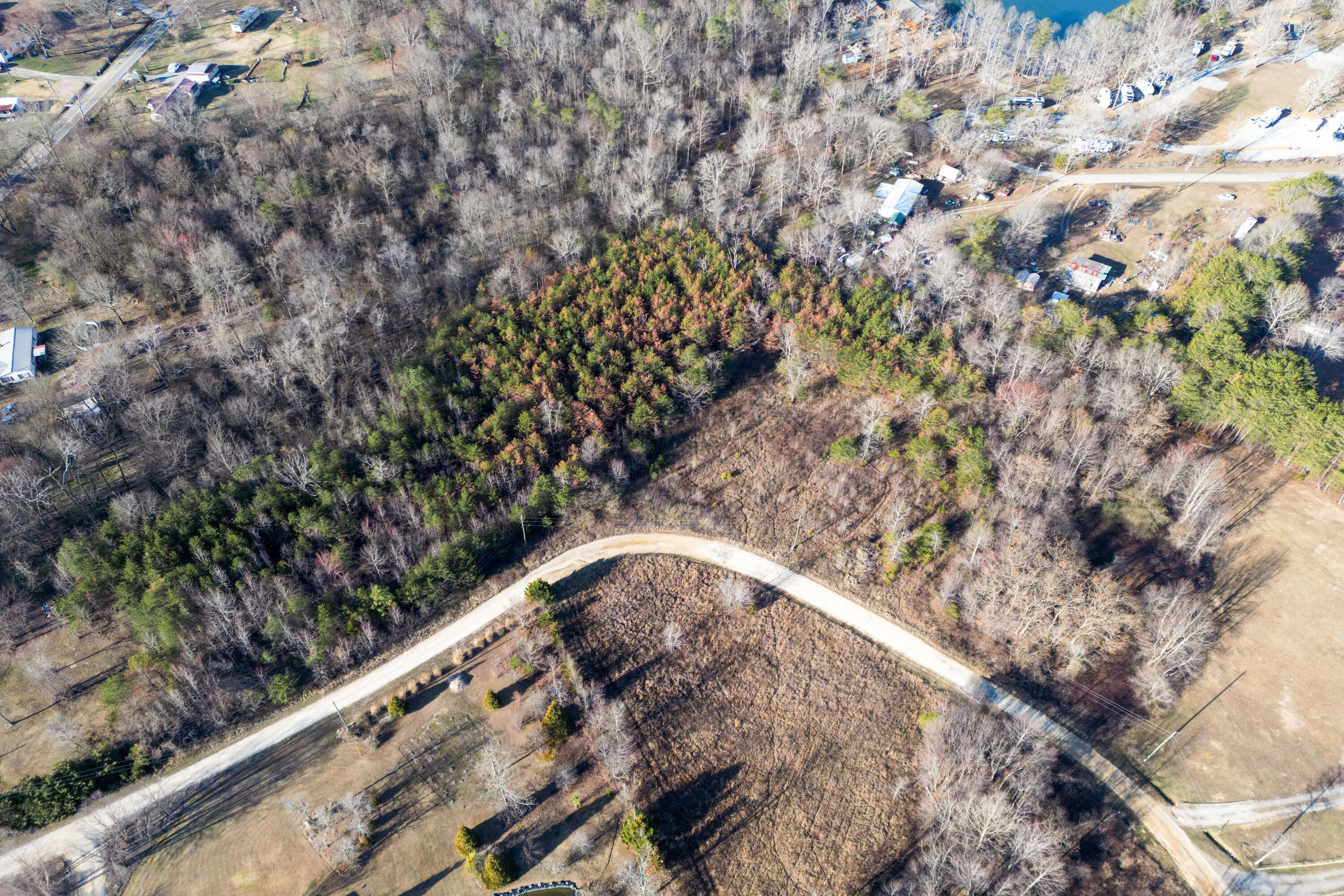 3 Acres Denvil Drive, Trenton, Georgia image 1
