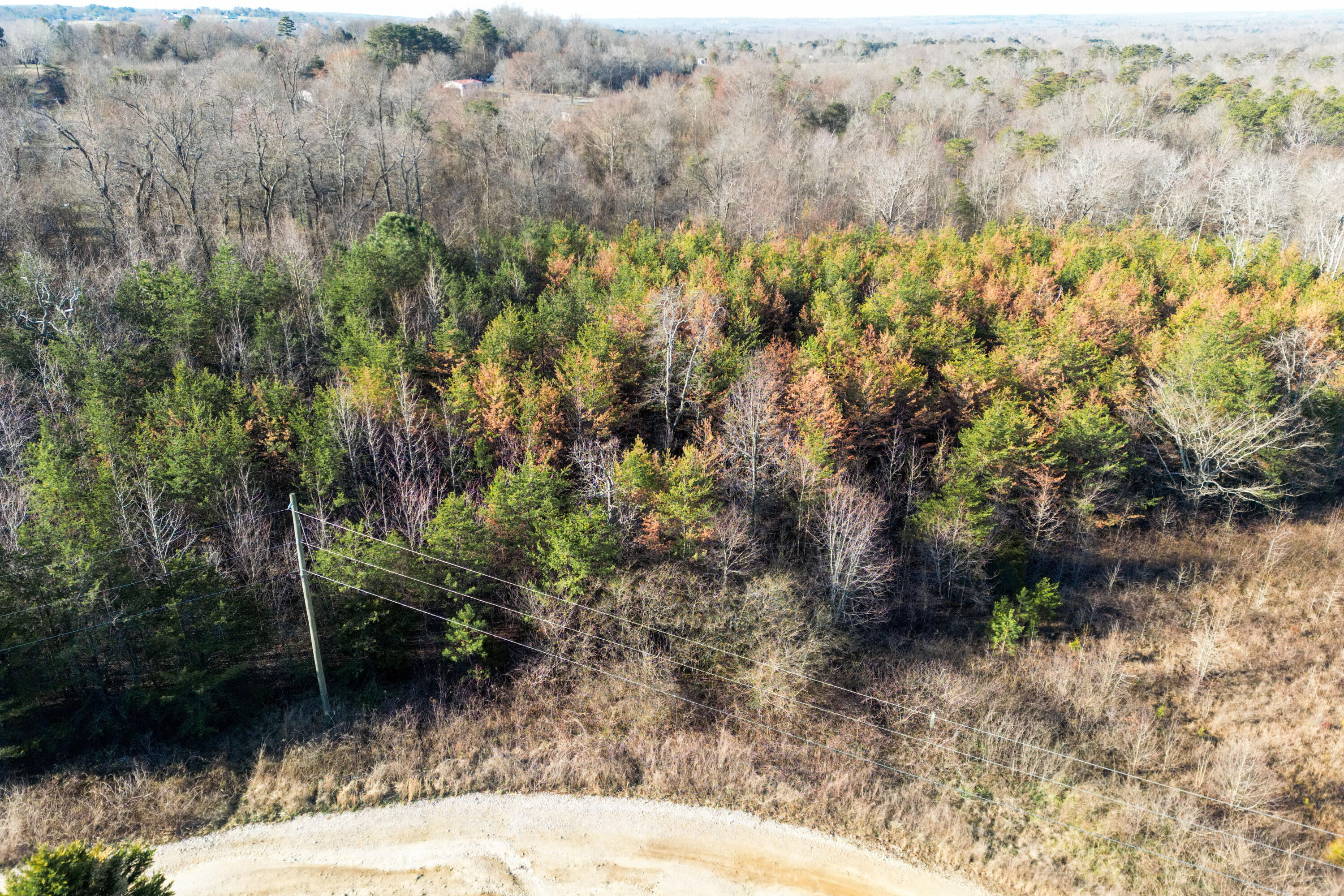 3 Acres Denvil Drive, Trenton, Georgia image 15