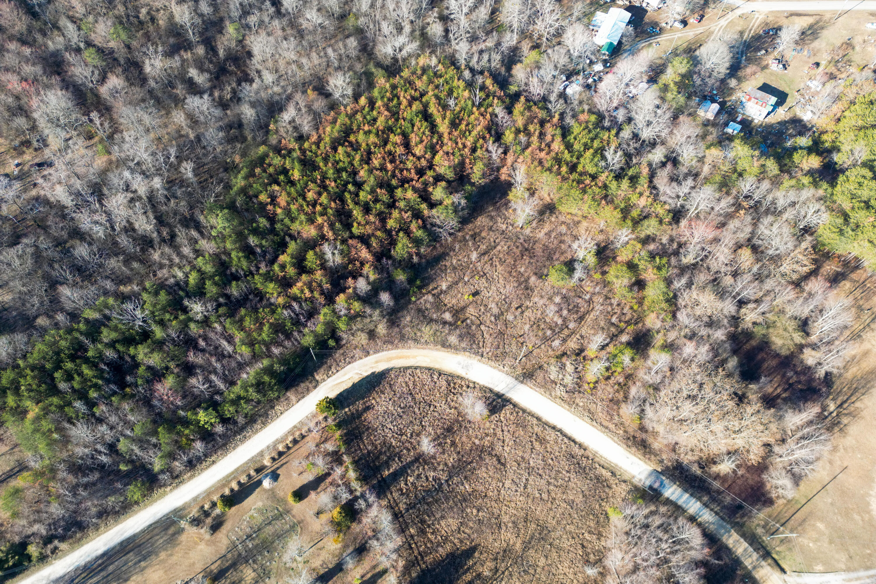 3 Acres Denvil Drive, Trenton, Georgia image 9